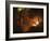 Cottage on Fire, C.1786-87-Joseph Wright of Derby-Framed Giclee Print