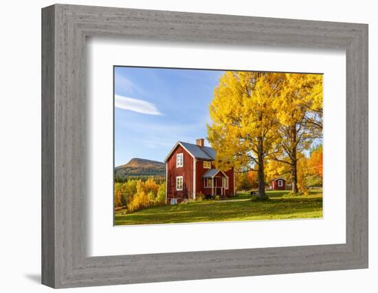 Cottage with Garden with Autumn Colors in a Mountain Landscape-TTphoto-Framed Photographic Print