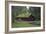 Cottage-J.D. Mcfarlan-Framed Photographic Print