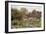 Cottages at Lake, Near Salisbury, Wilts-Alfred Robert Quinton-Framed Giclee Print