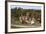 Cottages in the Village of Castle Rising, Kings Lynn, Norfolk, 2005-Peter Thompson-Framed Photographic Print