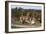 Cottages in the Village of Castle Rising, Kings Lynn, Norfolk, 2005-Peter Thompson-Framed Photographic Print