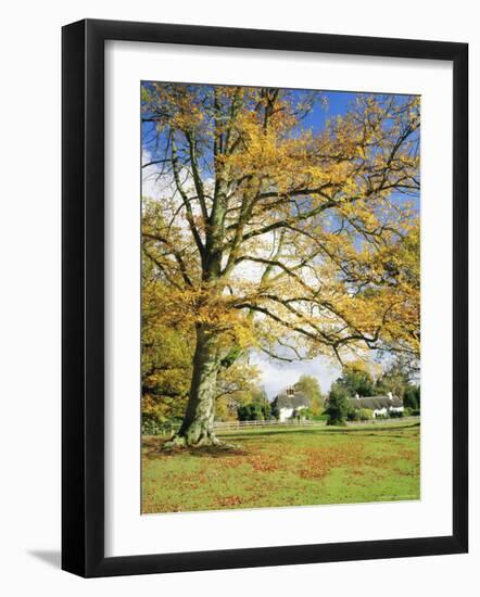 Cottages, Lyndhurst, New Forest, Hampshire, England, UK-Roy Rainford-Framed Photographic Print