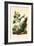 Cotton, 1833-39-null-Framed Giclee Print