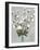 Cotton Ball Flowers II-Asia Jensen-Framed Art Print