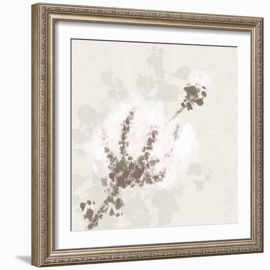 Cotton Boll 1-Melody Hogan-Framed Art Print