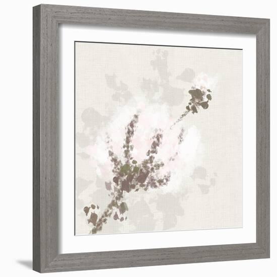 Cotton Boll 1-Melody Hogan-Framed Art Print