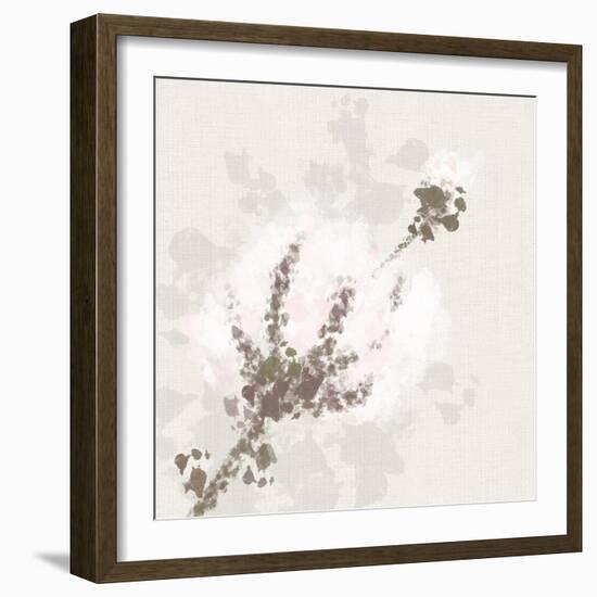 Cotton Boll 1-Melody Hogan-Framed Art Print