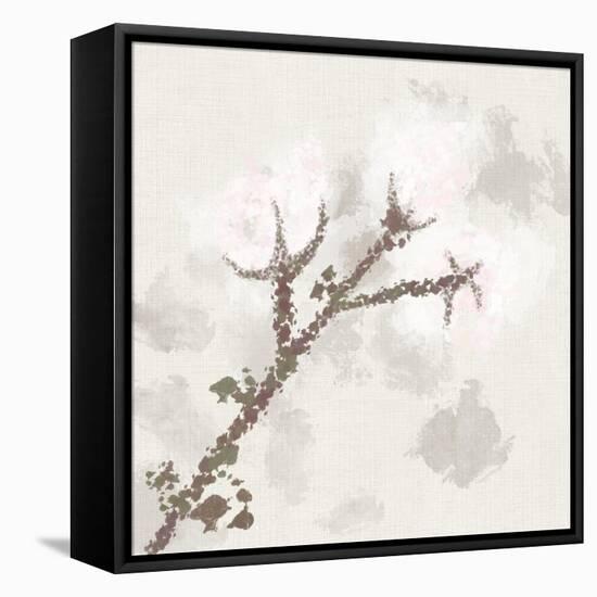 Cotton Boll 3-Melody Hogan-Framed Stretched Canvas