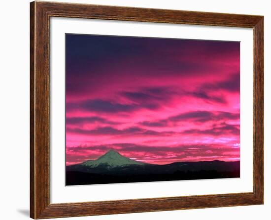 Cotton Candy Clouds Catch the Early Morning Sun-null-Framed Photographic Print