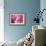 Cotton Candy Curly Cue-Camilla D'Errico-Framed Art Print displayed on a wall