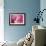 Cotton Candy Curly Cue-Camilla D'Errico-Framed Art Print displayed on a wall