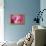 Cotton Candy Curly Cue-Camilla D'Errico-Framed Stretched Canvas displayed on a wall