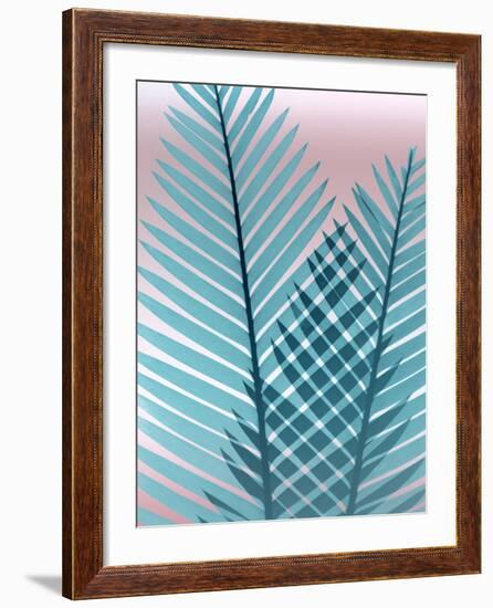 Cotton Candy Fern-Albert Koetsier-Framed Photo