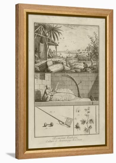 Cotton Field in America; Threshing with a Bow; Cotton Plant (Title), 1762-Denis Diderot-Framed Premier Image Canvas