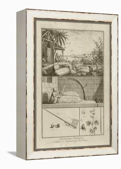 Cotton Field in America; Threshing with a Bow; Cotton Plant (Title), 1762-Denis Diderot-Framed Premier Image Canvas