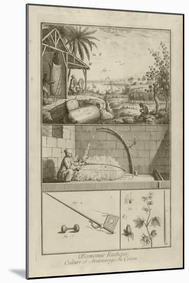 Cotton Field in America; Threshing with a Bow; Cotton Plant (Title), 1762-Denis Diderot-Mounted Giclee Print