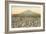 Cotton Field, Las Cruces, New Mexico-null-Framed Art Print