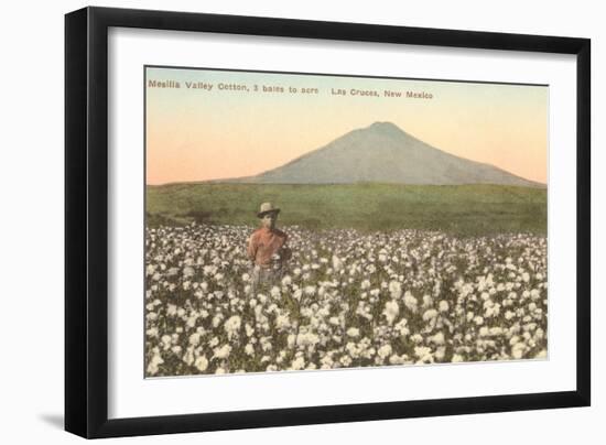 Cotton Field, Las Cruces, New Mexico-null-Framed Art Print
