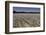 Cotton Fields in Alabama, United States of America, North America-John Woodworth-Framed Photographic Print