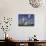 Cotton Grass, Blowing in Wind Against Blue Sky, Norway-Pete Cairns-Photographic Print displayed on a wall