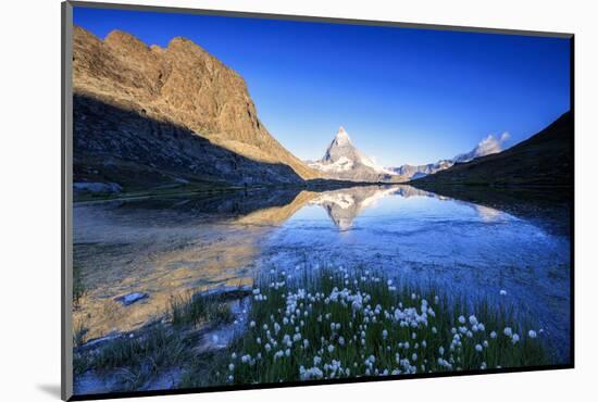 Cotton Grass Frame the Matterhorn Reflected in Lake Stellisee at Dawn, Switzerland-Roberto Moiola-Mounted Photographic Print