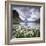 Cotton Grass on Lake Riffelsee While a Thunderstorm Hits the Matterhorn, Switzerland-Roberto Moiola-Framed Photographic Print