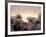 Cotton Grass Stands Tall in the Setting Sun in Kulusuk, Greenland-null-Framed Photographic Print