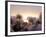 Cotton Grass Stands Tall in the Setting Sun in Kulusuk, Greenland-null-Framed Photographic Print