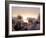 Cotton Grass Stands Tall in the Setting Sun in Kulusuk, Greenland-null-Framed Photographic Print