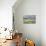 Cotton Grass-Michael Blanchette-Mounted Photographic Print displayed on a wall