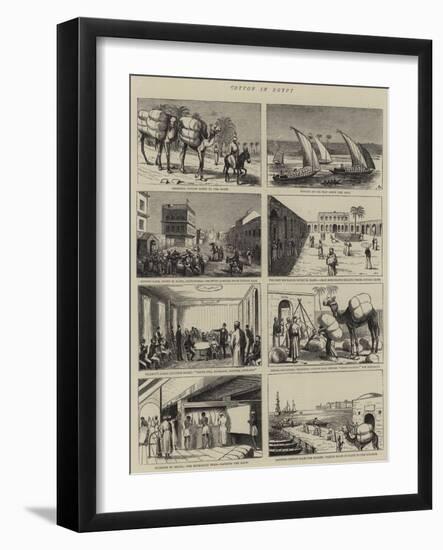 Cotton in Egypt-null-Framed Giclee Print