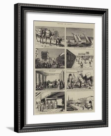 Cotton in Egypt-null-Framed Giclee Print