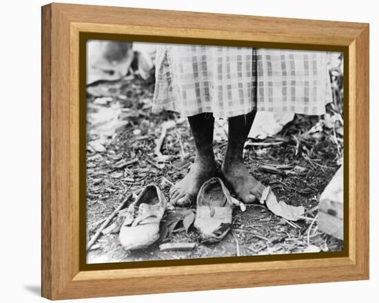 Cotton Picker, 1937-Dorothea Lange-Framed Premier Image Canvas