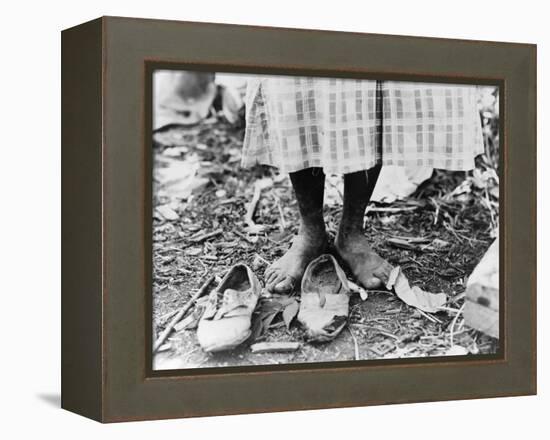 Cotton Picker, 1937-Dorothea Lange-Framed Premier Image Canvas