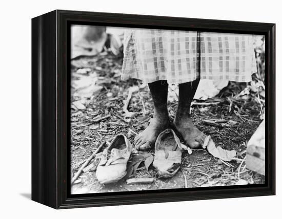 Cotton Picker, 1937-Dorothea Lange-Framed Premier Image Canvas