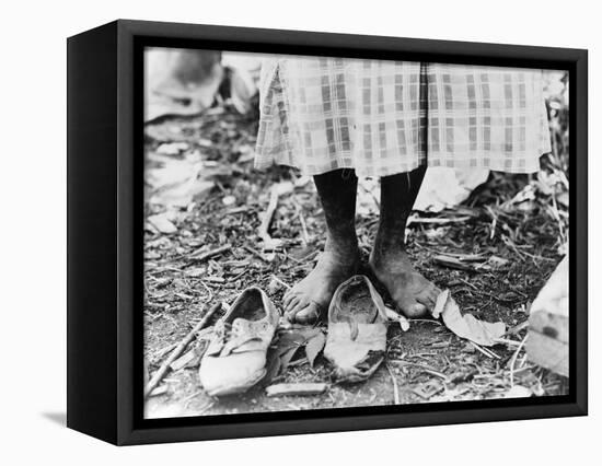 Cotton Picker, 1937-Dorothea Lange-Framed Premier Image Canvas