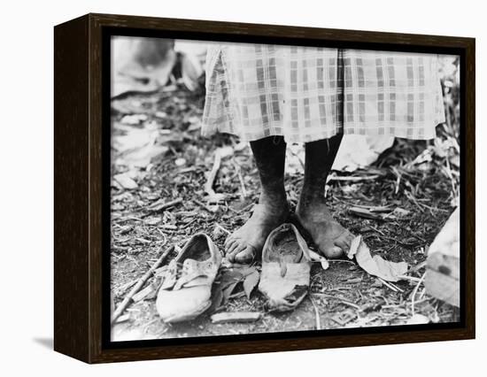 Cotton Picker, 1937-Dorothea Lange-Framed Premier Image Canvas