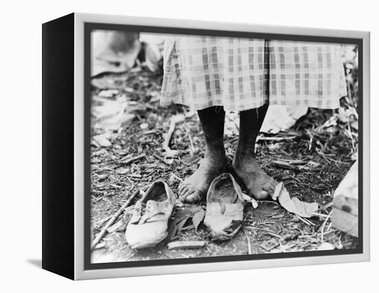 Cotton Picker, 1937-Dorothea Lange-Framed Premier Image Canvas