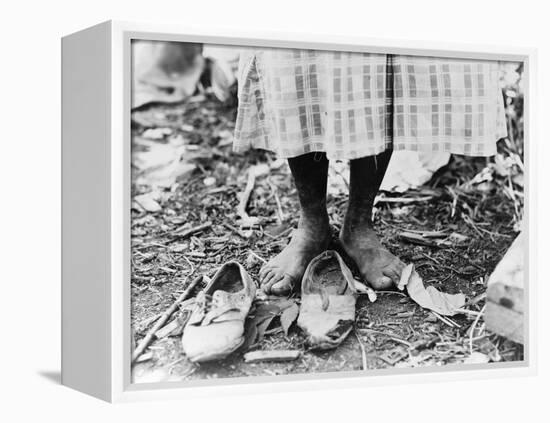 Cotton Picker, 1937-Dorothea Lange-Framed Premier Image Canvas