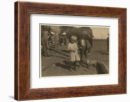 Cotton Picker Aged 4 Who Picks 15 Pounds a Day Regularly and 7 Year Old Who Picks 50. They Move fro-Lewis Wickes Hine-Framed Photographic Print