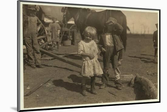 Cotton Picker Aged 4 Who Picks 15 Pounds a Day Regularly and 7 Year Old Who Picks 50. They Move fro-Lewis Wickes Hine-Mounted Photographic Print