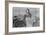 Cotton Picker-Dorothea Lange-Framed Art Print