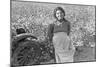 Cotton Picker-Dorothea Lange-Mounted Art Print