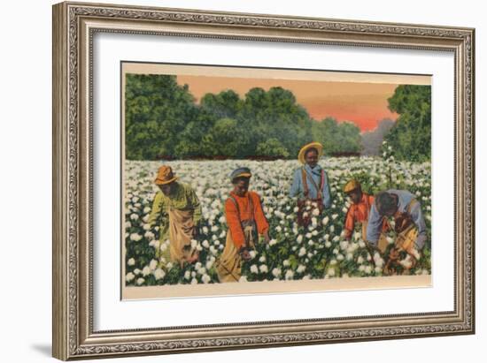 Cotton Picking, Augusta, Georgia, 1943-null-Framed Giclee Print