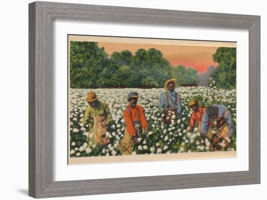 Cotton Picking, Augusta, Georgia, 1943-null-Framed Giclee Print