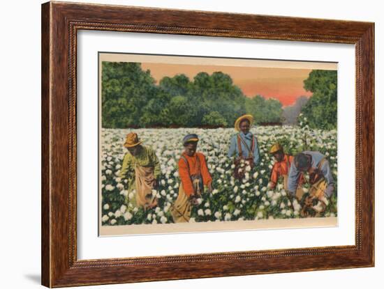 Cotton Picking, Augusta, Georgia, 1943-null-Framed Giclee Print