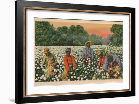 Cotton Picking, Augusta, Georgia, 1943-null-Framed Giclee Print