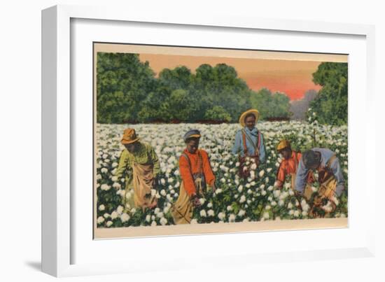 Cotton Picking, Augusta, Georgia, 1943-null-Framed Giclee Print