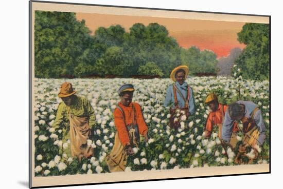 Cotton Picking, Augusta, Georgia, 1943-null-Mounted Giclee Print